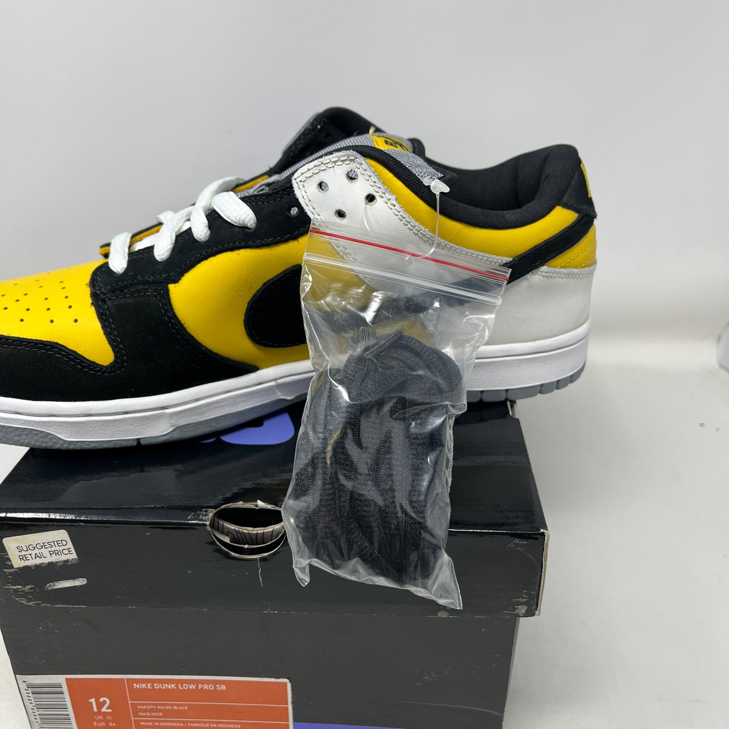 Nike SB Dunk Low Bic