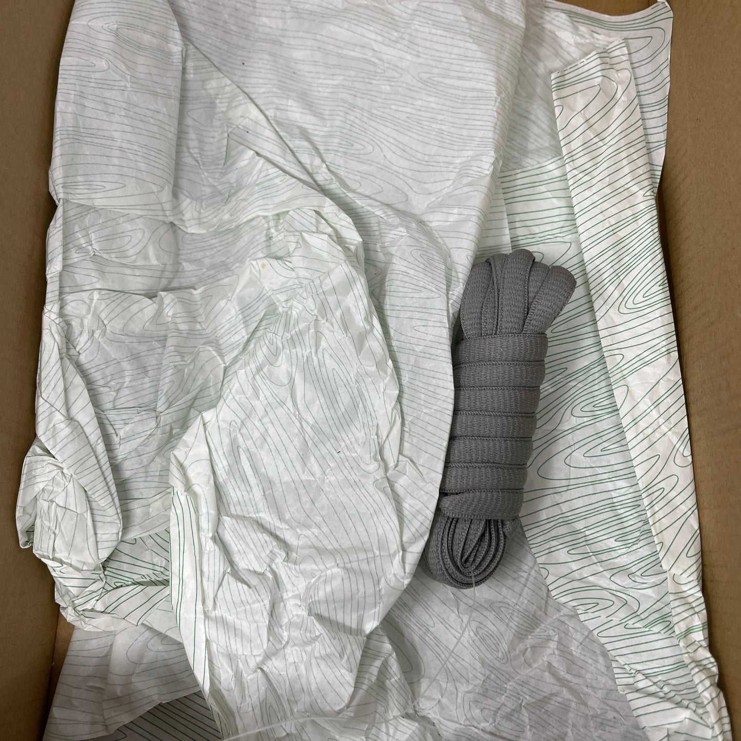 Nike SB Dunk Low atmos Elephant