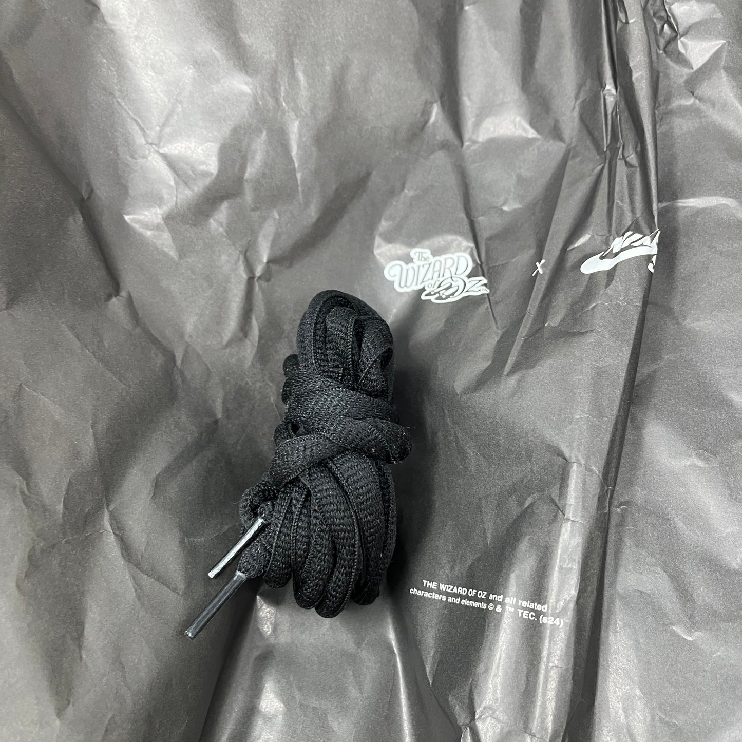 Nike SB Dunk Low The Wizard of Oz Poppy Field Used