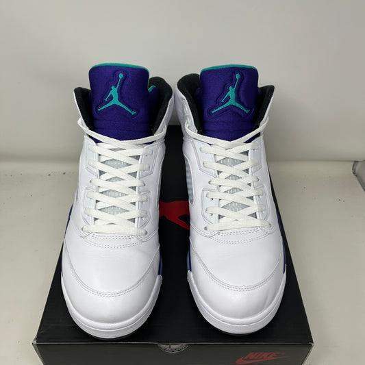 Jordan 5 Retro Grape (2025) Used