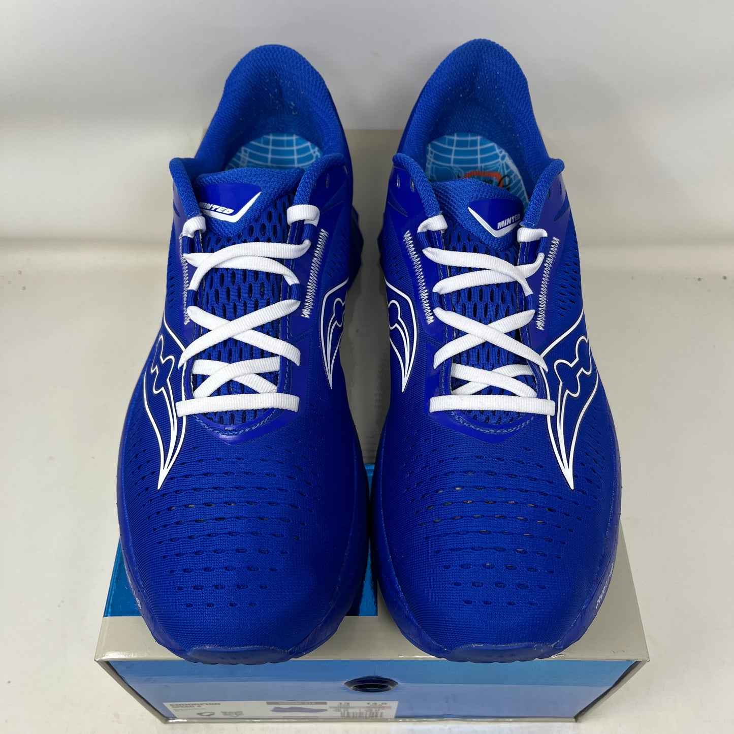 Saucony Endorphin Speed 4 Minted NY Used