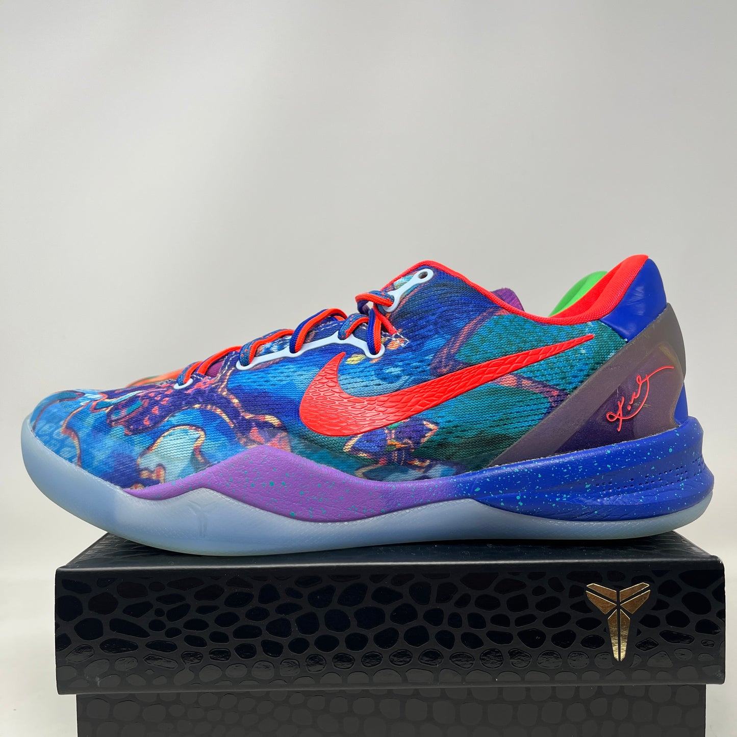 Nike Kobe 8 Protro What The (2025) Used