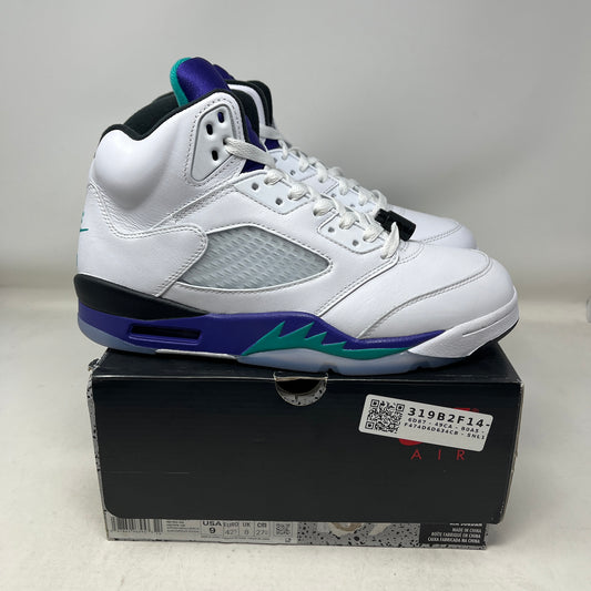 Jordan 5 Retro Grape (2025) Used