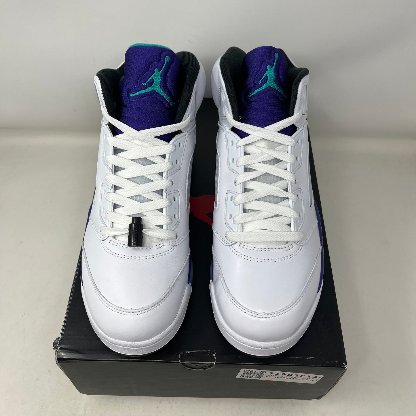 Jordan 5 Retro Grape (2025) Used