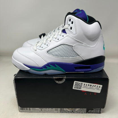 Jordan 5 Retro Grape (2025) Used