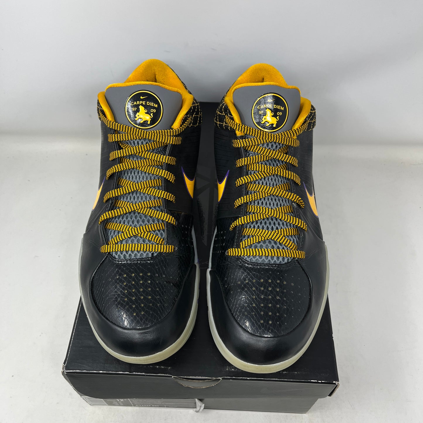 Nike Kobe 4 Protro Carpe Diem Used