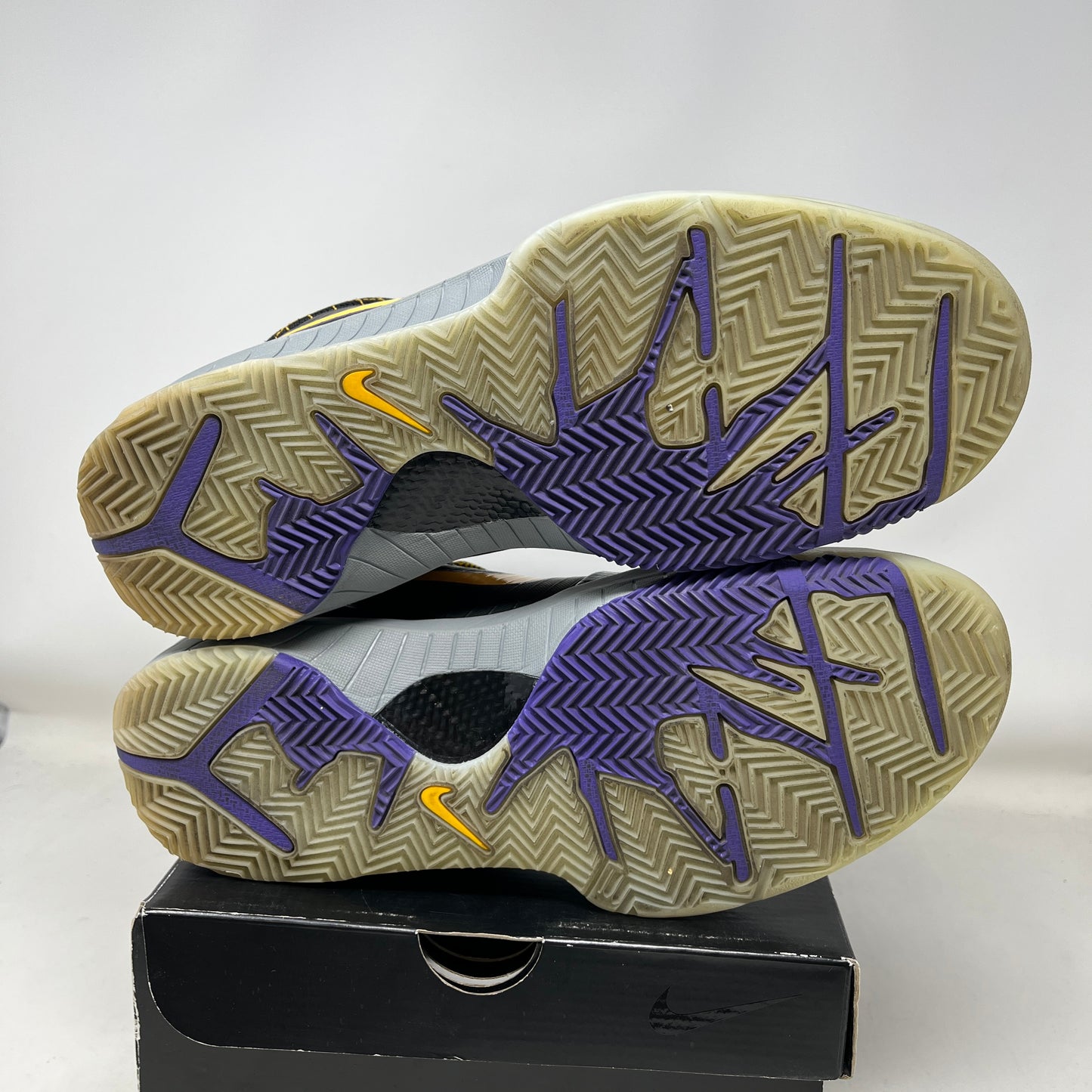 Nike Kobe 4 Protro Carpe Diem Used