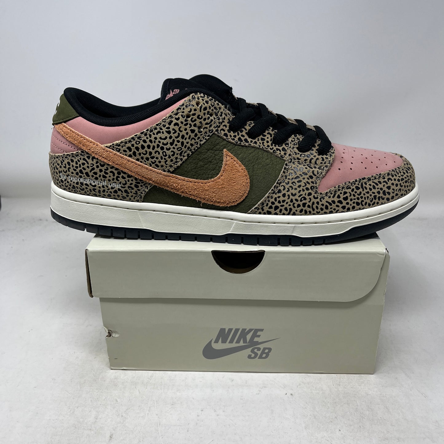 Nike SB Dunk Low Arts-Rec