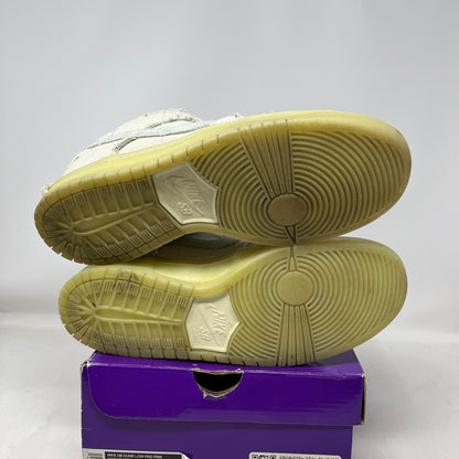 Nike SB Dunk Low Mummy Used